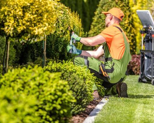 Gartenarbeiten im Herbst