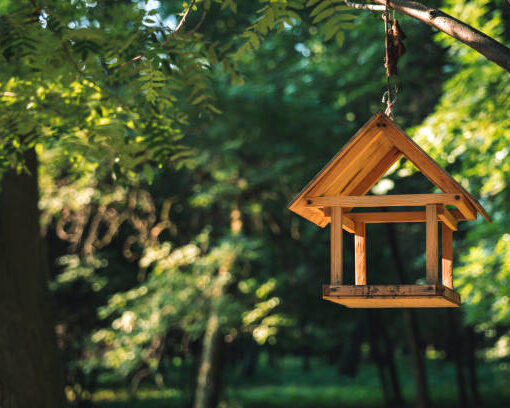 Vogelfutterhaus im privaten Garten