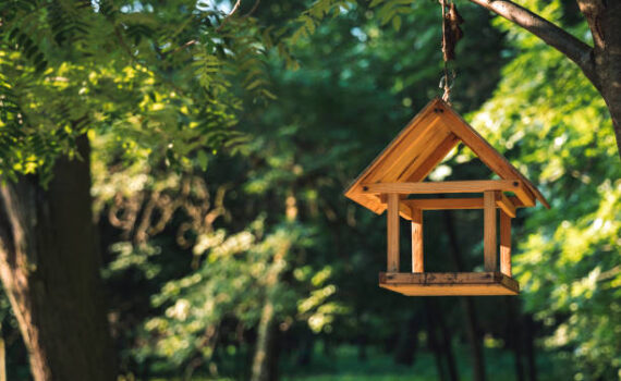 Vogelfutterhaus im privaten Garten